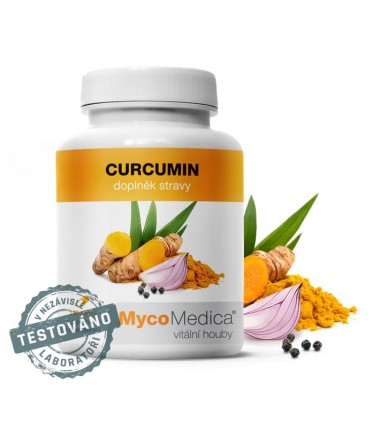 CURCUMIN - Kurkuma dlouhá - doplněk stravy